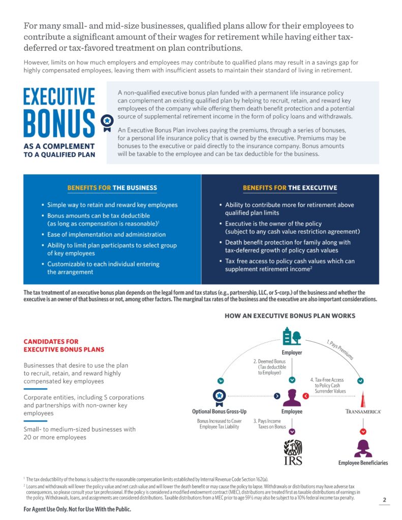 Executive Bonus Case Study Page 0002